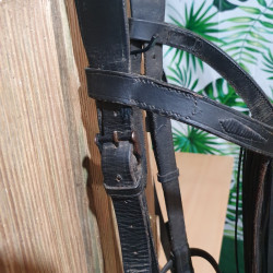Bridon espagnol cheval
