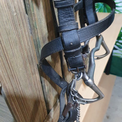 Bridon espagnol cheval