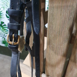 Bridon cheval