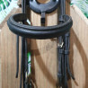 Bridon cheval