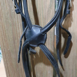 Bridon cheval