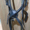 Bridon cheval
