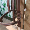 Bridon cheval