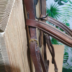 Bridon cheval
