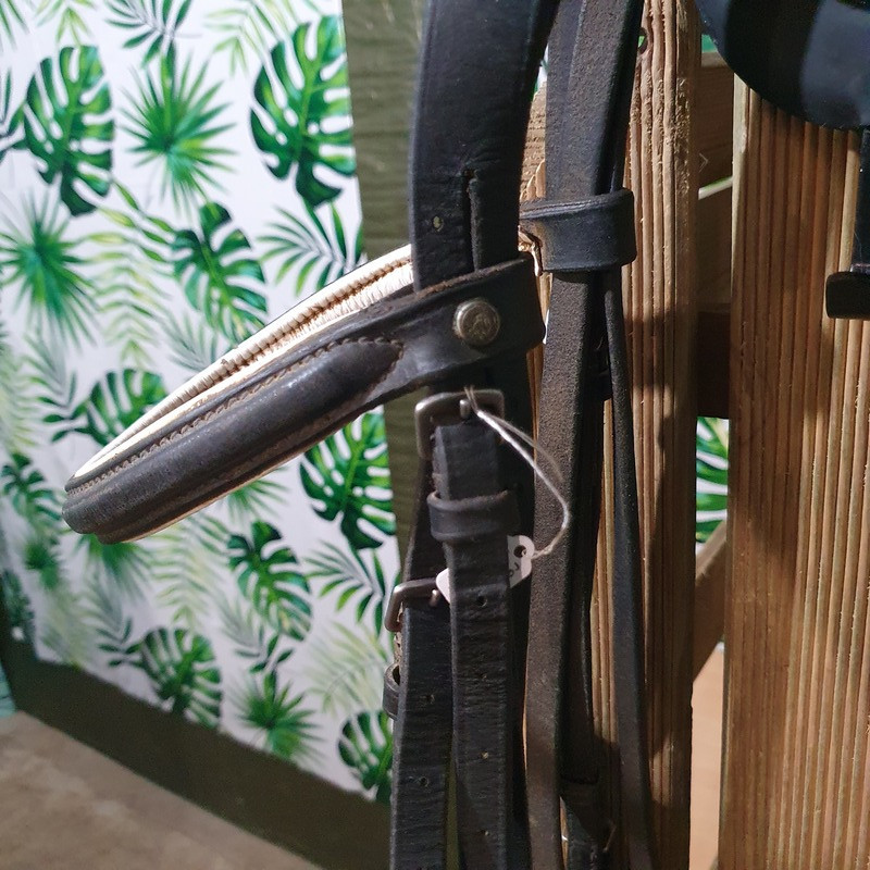 Bridon cheval