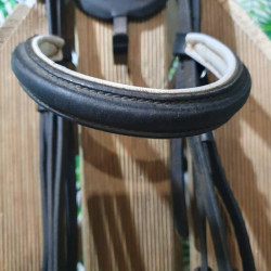Bridon cheval