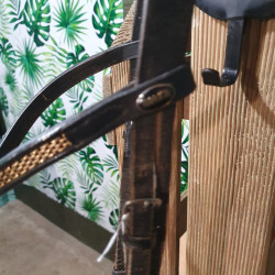 Bridon cheval Horka