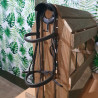 Bridon cheval Chetak