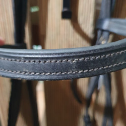 Bridon cheval Chetak