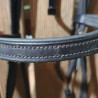 Bridon cheval Chetak