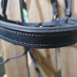 Bridon cheval Chetak