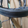 Bridon cheval Chetak