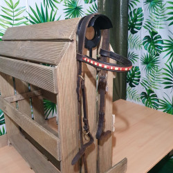 Bridon cheval