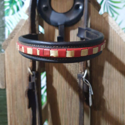 Bridon cheval