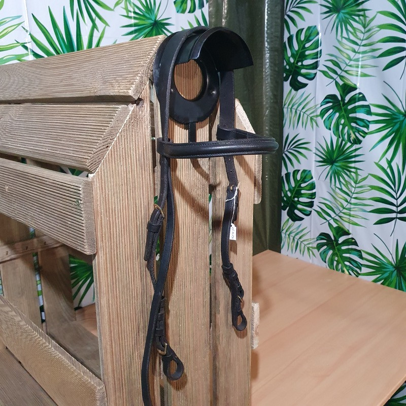 Bridon cheval Chetak