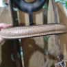 Bridon western cheval