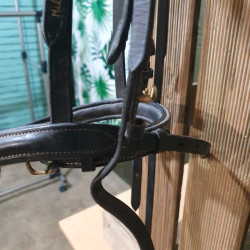 Bridon cheval T de T + collier de chasse