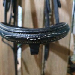 Bridon cheval T de T + collier de chasse