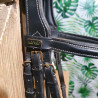 Bridon cheval T de T + collier de chasse