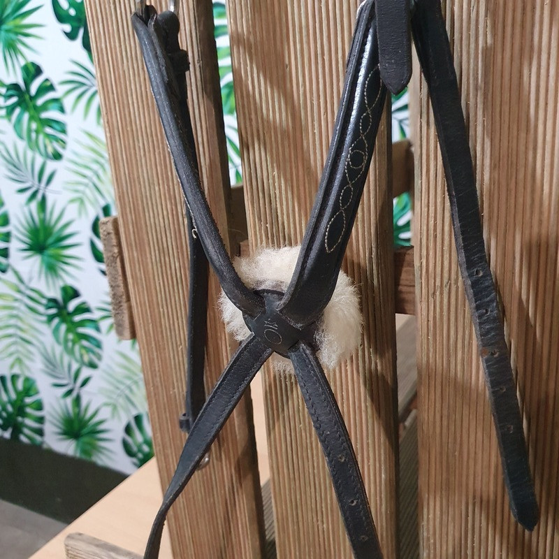 Muserolle cheval