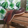 Bardette Poney