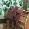 Bardette Poney