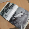 Livre Chevaux Arabes