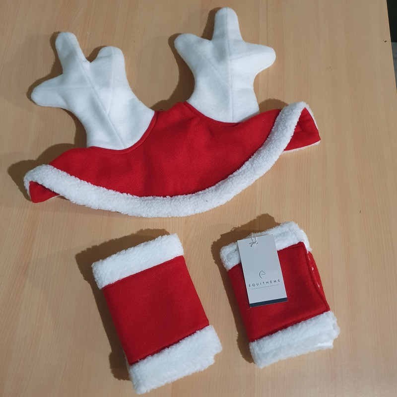 Ensemble Noël cheval