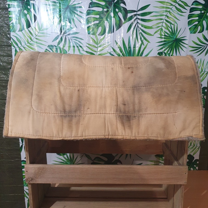 Tapis western