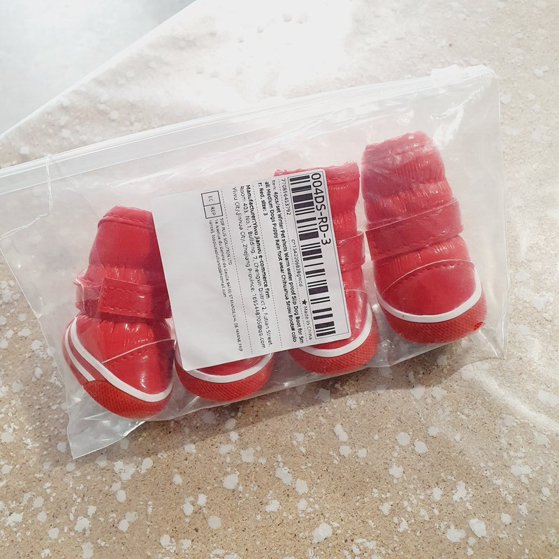 Chaussures Chihuahua