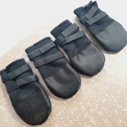 Chaussures XXL x4