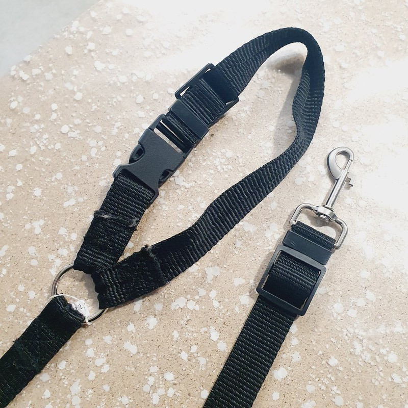 Laisse 65cm + collier