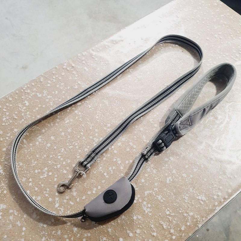 Laisse 154cm