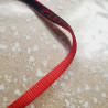Laisse 100cm