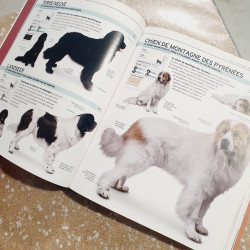 Le petit Larousse des chiens