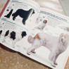 Le petit Larousse des chiens