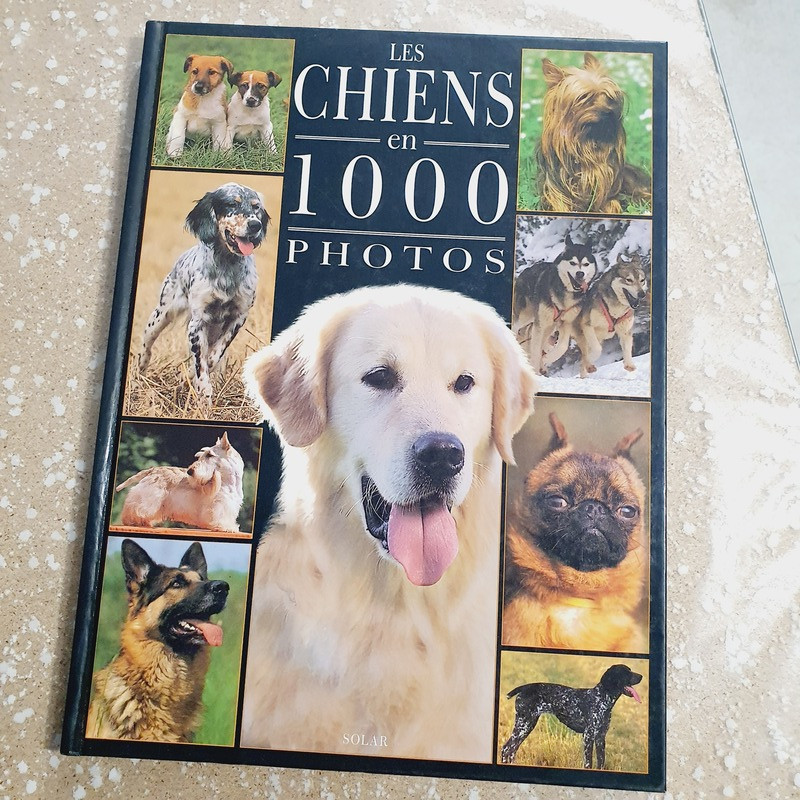 Les Chiens en 1000 photos