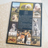 Les Chiens en 1000 photos