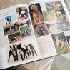 Les Chiens en 1000 photos