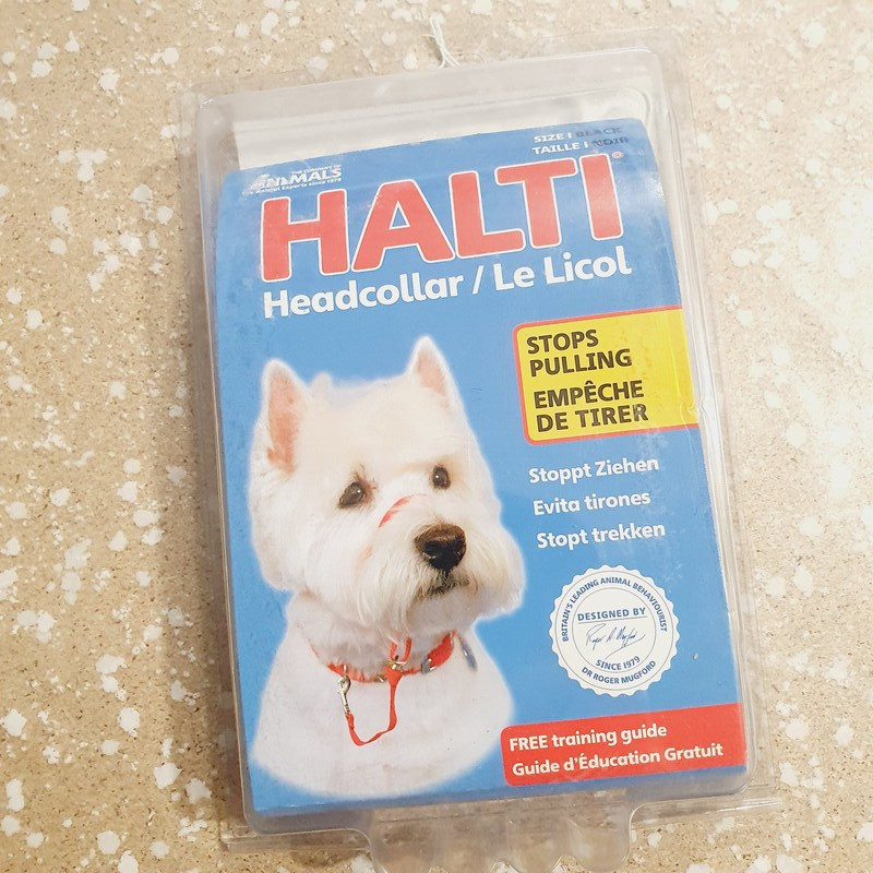 Licol noir Halti T1