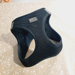 Harnais 36-44cm