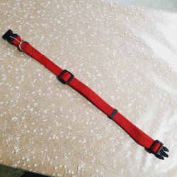 Collier 39-62cm / 2cm