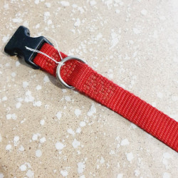 Collier 39-62cm / 2cm