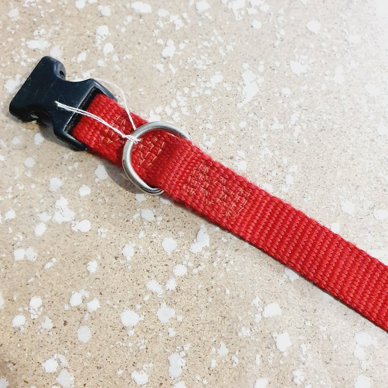 Collier 39-62cm / 2cm