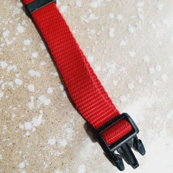 Collier 39-62cm / 2cm
