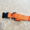 Collier 20-34cm / 2cm