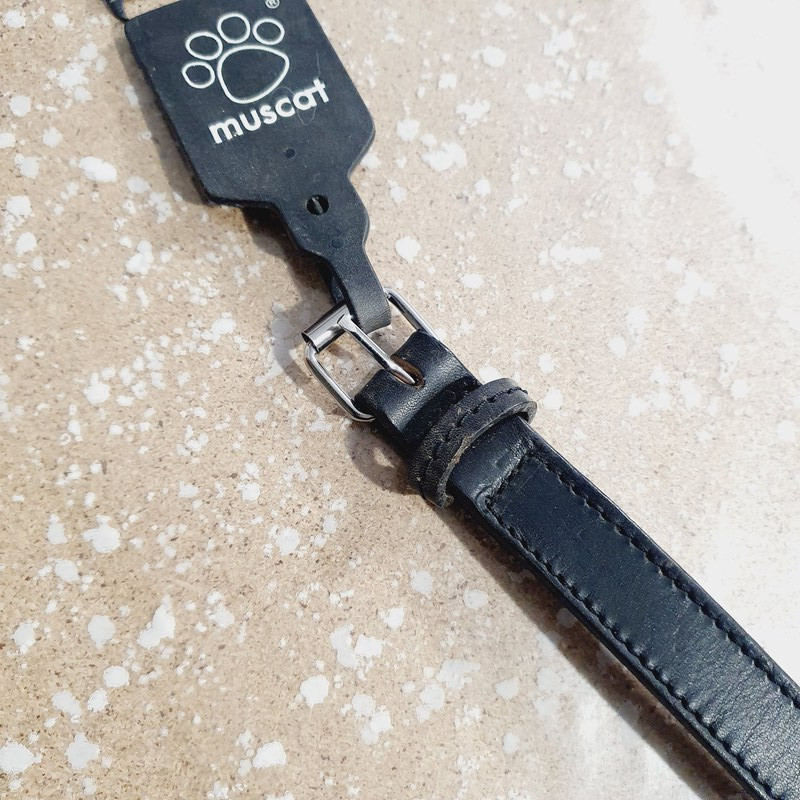 Collier 35-41cm / 2cm