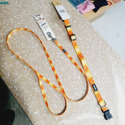 Collier 41-56cm / 1,9cm + Laisse 1,2m