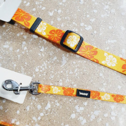 Collier 41-56cm / 1,9cm + Laisse 1,2m