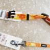 Collier 41-56cm / 1,9cm + Laisse 1,2m